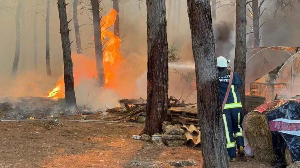 Antalya&rsquo;da Orman Yangınlarına M&uuml;dahale: Gazipaşa ve Alanya&rsquo;da S&uuml;r&uuml;yor