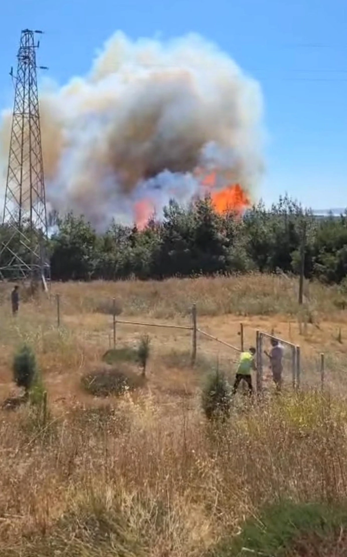 &Ccedil;anakkale&rsquo;de Yangın: Tarım Arazisinden Ormana Sı&ccedil;radı