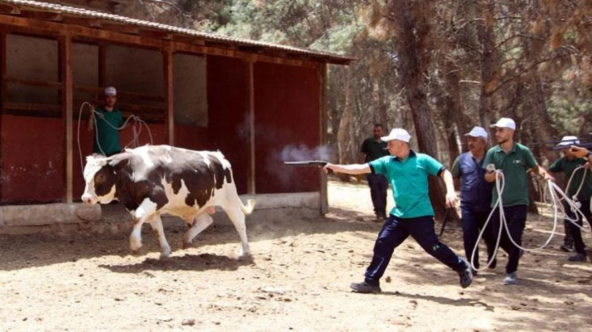 Gaziantep&rsquo;te &lsquo;Kurban Yakalama Timi&rsquo; Bayram &Ouml;ncesi G&ouml;reve Hazır