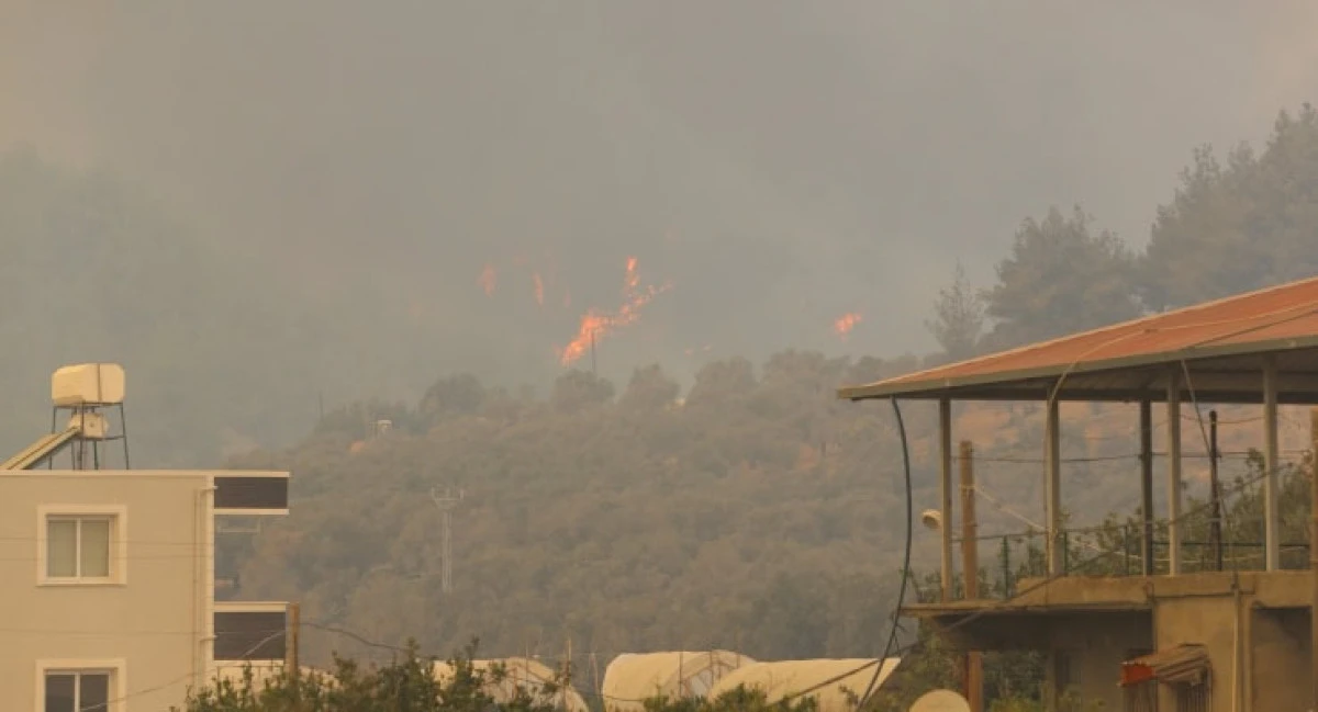 Hatay&rsquo;da orman yangını: Mezarlık alevlere teslim oldu