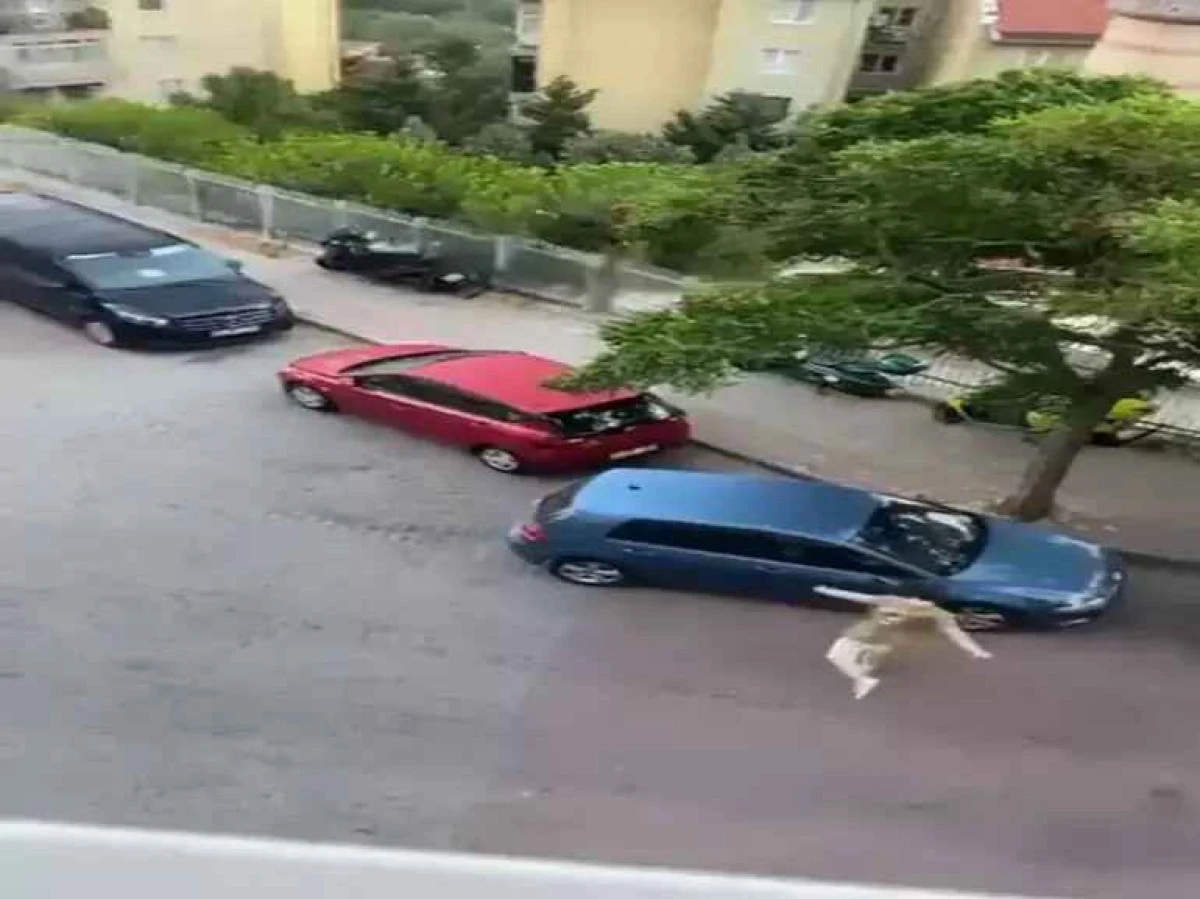 Kağıthane&rsquo;de Alkoll&uuml; Şahıs Ara&ccedil; Aynalarını Kırdı, G&uuml;venliğe Saldırdı