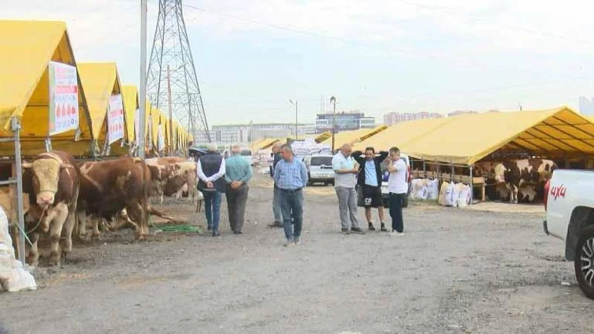 Kurbanlıklar İstanbul&rsquo;a Geldi, İlk Satışlar Başladı