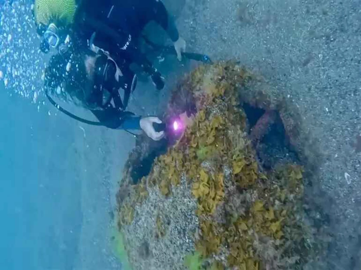 Ordu&rsquo;da Denizde Patlamış Mayın Bulundu